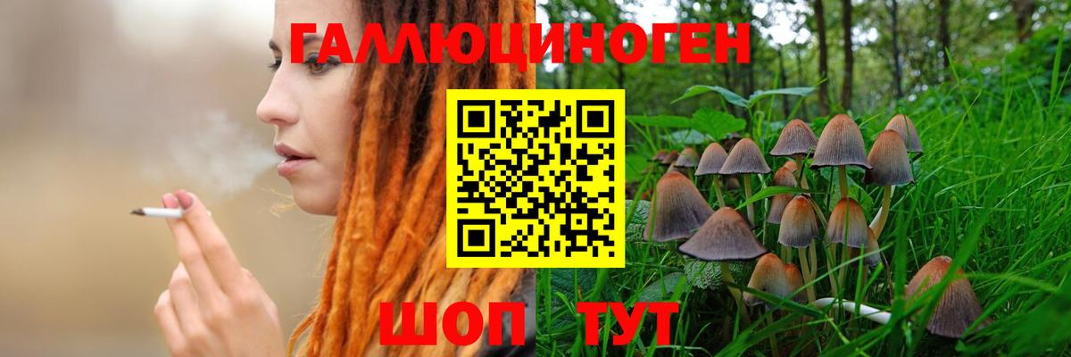 Галлюциногенные грибы Cubensis Альметьевск