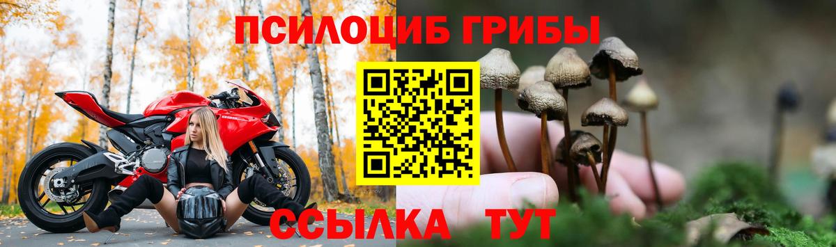 Бошки Шишки Альметьевск
